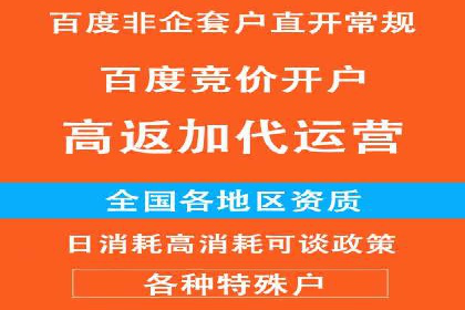 百度竞价排名实战：某行业领先企业的成功之路